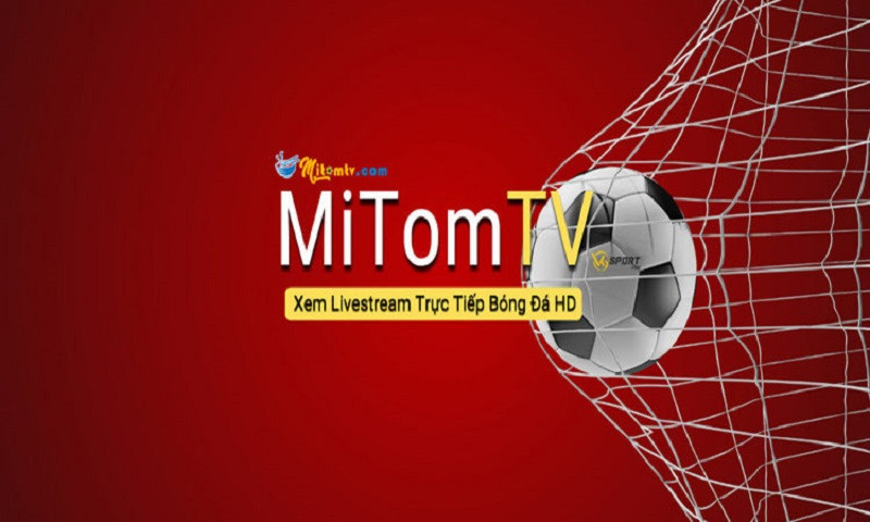 Mitom TV là trang web như thế nào?